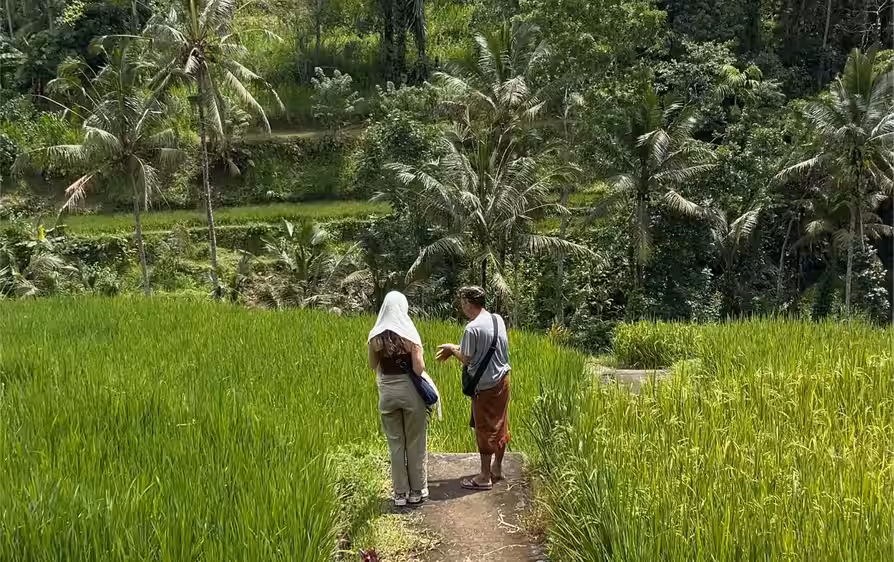 Rice paddy tour